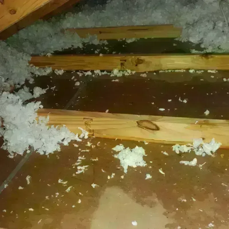 Attic Water Damage in White County, AR